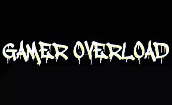 Gamer Overload By BigGoonBrother