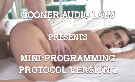 GAL Mini Programming Protocol 2 0