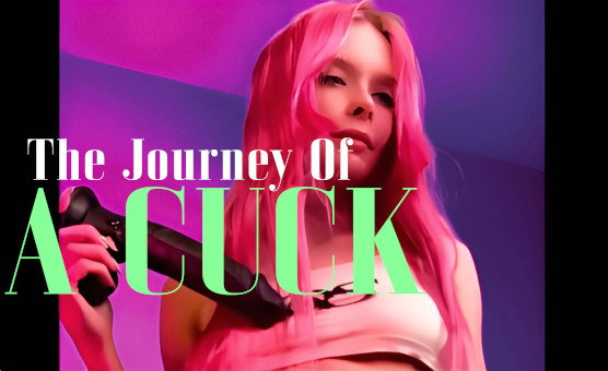 The Journey Of A Cuck