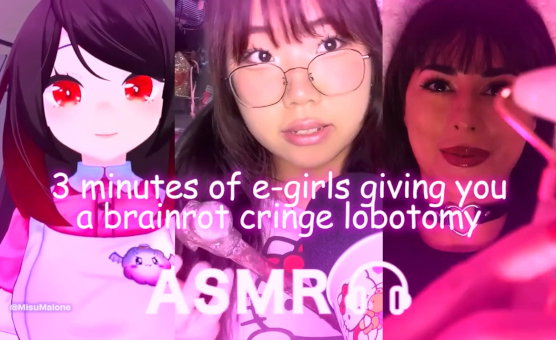 3 Minutes Of EGirls Giving You ASMR Brainrot Cringe Lobotomy