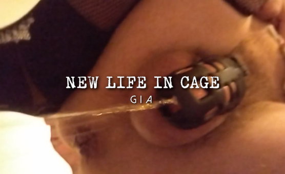 New Life In Cage