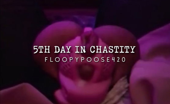 5th Day In Chastity
