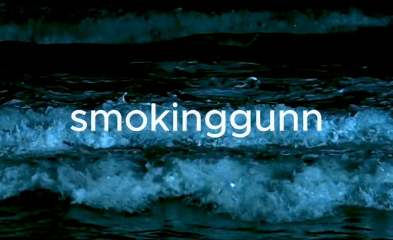 Smokinggunnn - BBC Goon File