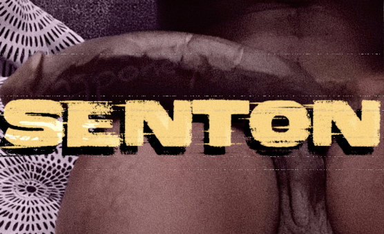 Senton PMV BBC