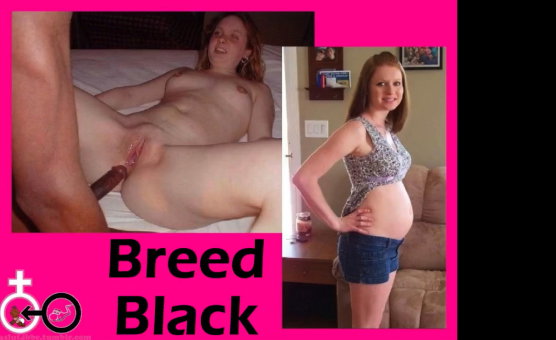 Breed Black