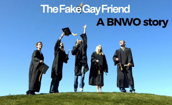 The Fake Gay Friend - A BNWO Story