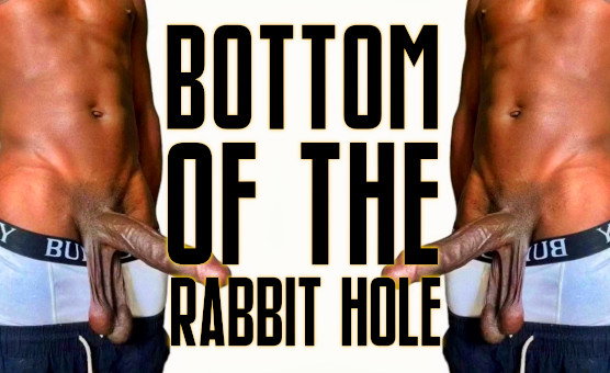 Bottom Of The Rabbit Hole - BNWO Ready