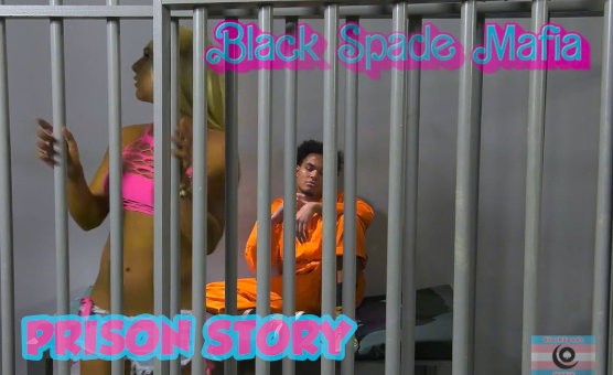 BSM - Prison Story