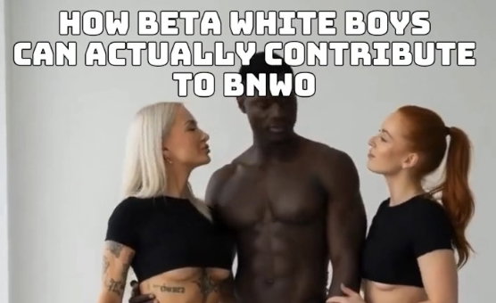 A Beguinners Guide - How Beta White Boys Can Actually Contribute To BNWO