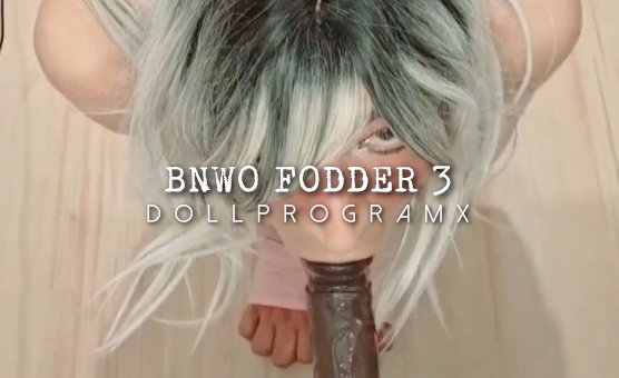 BNWO Fodder 3