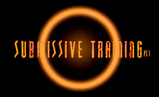 Submissive Training Pt 1