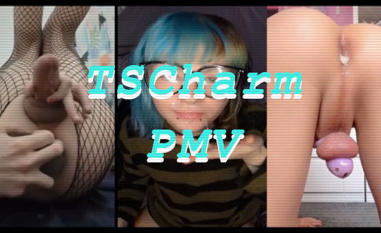 TSCharm PMV