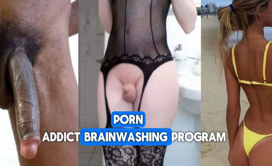 Porn Addict Brainwashing Program